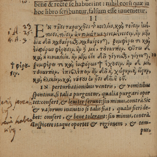 Nærbilde av håndskrevne detaljer fra bok